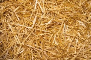 straw closeup