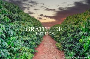 farm-babe-gratitude