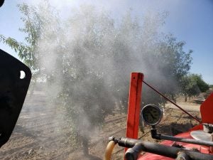 CropCoat-on-almonds