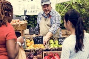 Micro Farm policy