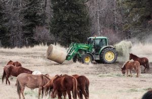 USFS_04_Tractor-feeding-Suzanne-Downing