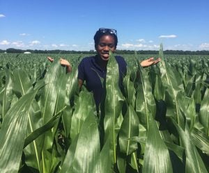 irene-lewis-corn