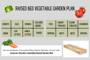 Raised bed vegetable garden plan