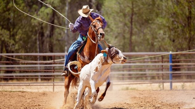 calf-roping-rodeo-history