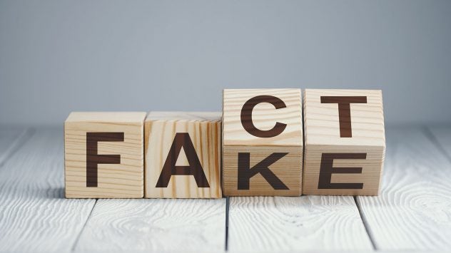 fact-fake-information