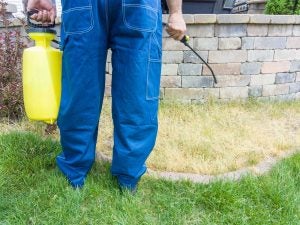homeowner-spraying