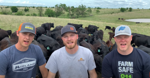 peterson-farm-bros-some-cows