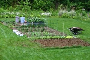 rural-vegetable-garden