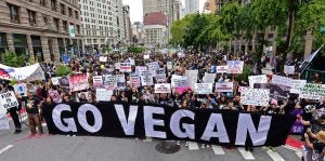 vegan-protest-new-york