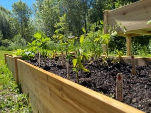 walmart-raised-bed-veggie-box