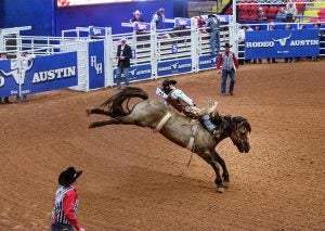 bronc-riding-austin