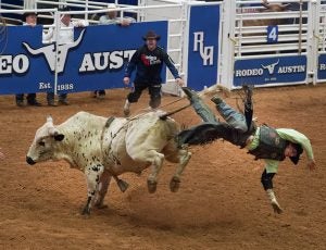 bull-riding-austin