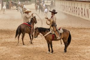 hispanic-cowboys-rodeo