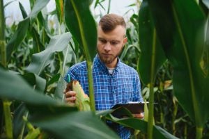 generation-z-farmer-corn