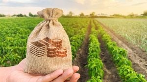 rural_farm_lending_banking