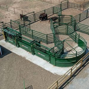 arrowquip-designing-cattle-corrals