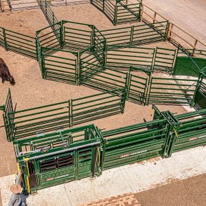 arrowquip-designing-cattle-corrals
