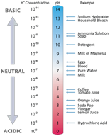 basic-alkaline-neutral-graph