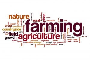 agriculture-word-cloud