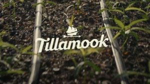 tillamook-dairy-all-for-farmers