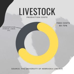 Livestock-feed-GO-SEED