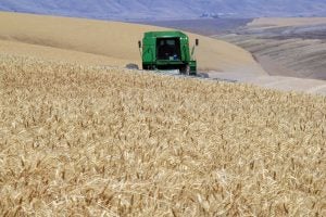 oregon-wheat-harvest