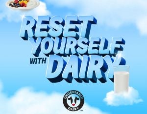 reset-yourself-dairy