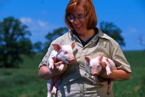 usda-piglets-animal-welfare