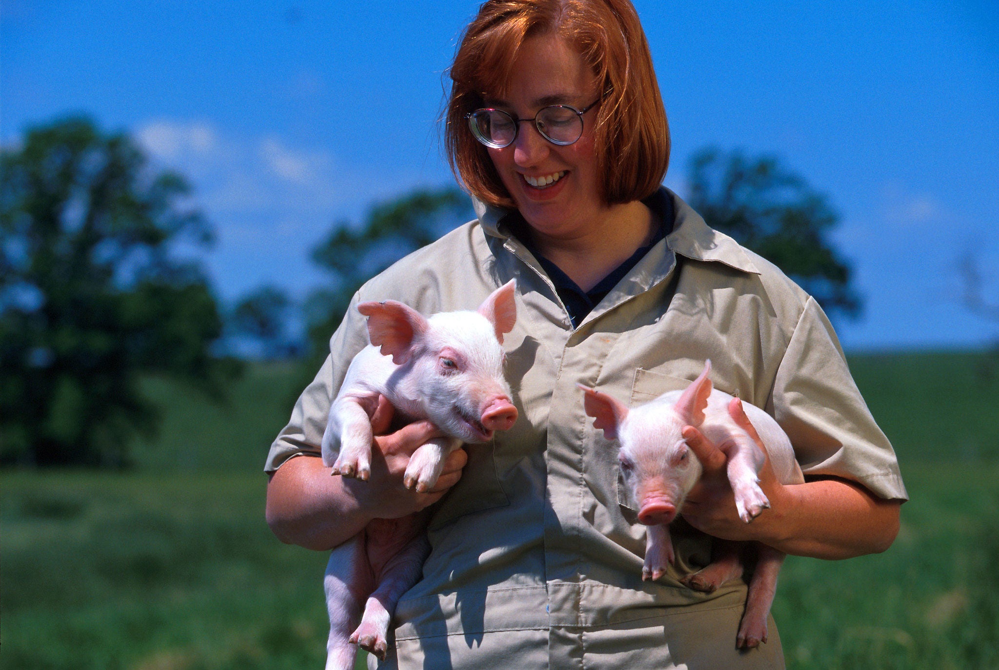 Farm Babe: Better animal care equals greater profits | AGDAILY