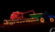 Tennessee farm flips the switch on 9,500 bulbs of Christmas cheer