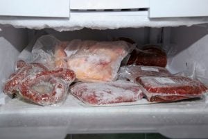 meat-freezer
