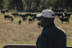 minority landowners