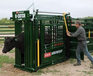 Arrowquip-catching-cow-in54-series- (1)