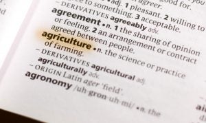 agriculture-dictionary-definition