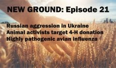 New Ground — Episode 21: Animal activism, Ukraine, meat alternatives