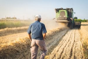 europe-farmer-wheat