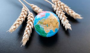 global-food-supply-tensions