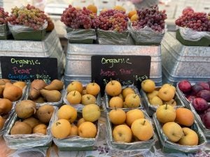 organic-fruit-farmers-market