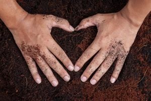 soil-heart-unity-agriculture