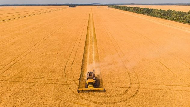 ukrainian-wheat-harvest