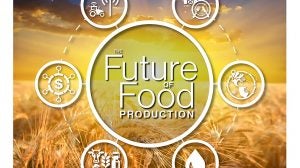 food production