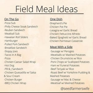Field-Meal-Ideas