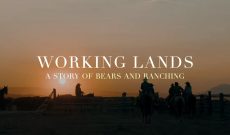 Documentary explores ranching’s role in grizzly conservation