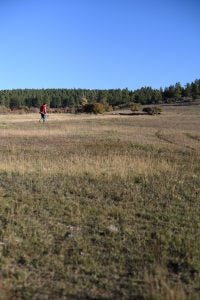 ryan-brown-rancher-conservation