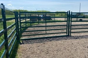 arrowquip-no-bow-gates