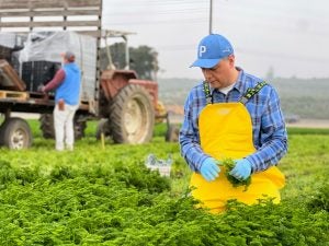 senator-padilla-california-farm-fields