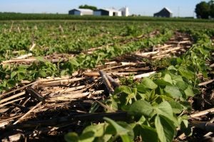 soybeans-crop-corn-reside-soil-health-usda
