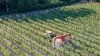 california-vineyard-crop-protection