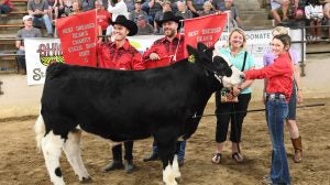 ohio-state-fair-charity-steer-show-2022