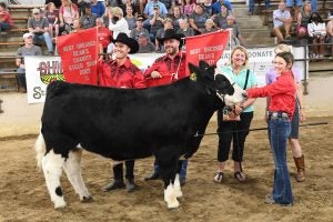ohio-state-fair-charity-steer-show-2022